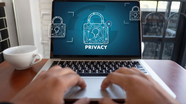 Laptop privacy and data security