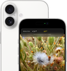 Official Apple product image 3